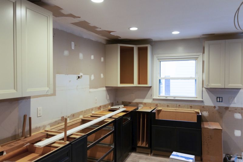Kitchen Cabinet Renovation